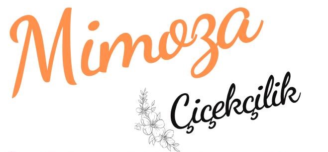 https://www.instagram.com/erzincanmimozacicekcilik/